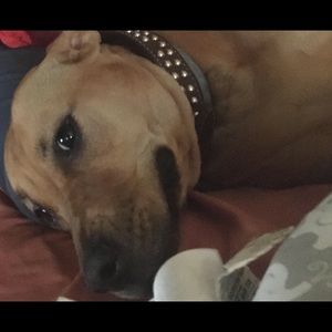 Meet your Posher, Rod